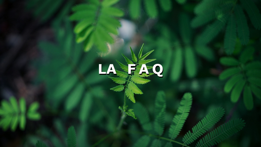 QUESTIONS FRÉQUENTES