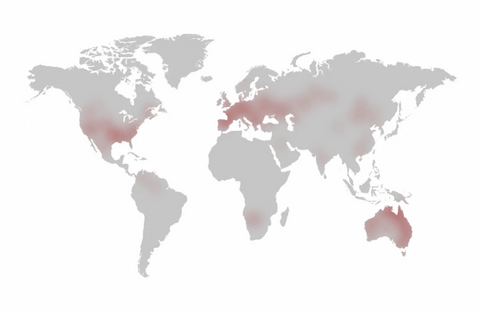 Origine Map