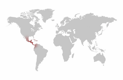 Origine Map