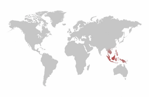 Origine Map