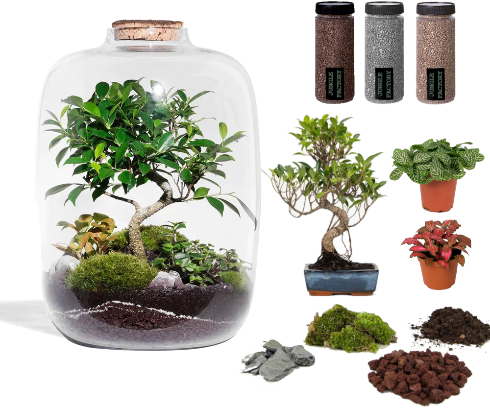Kit DIY Jungle Cloud Large