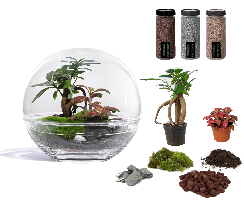Kit DIY Jungle Bubble Medium