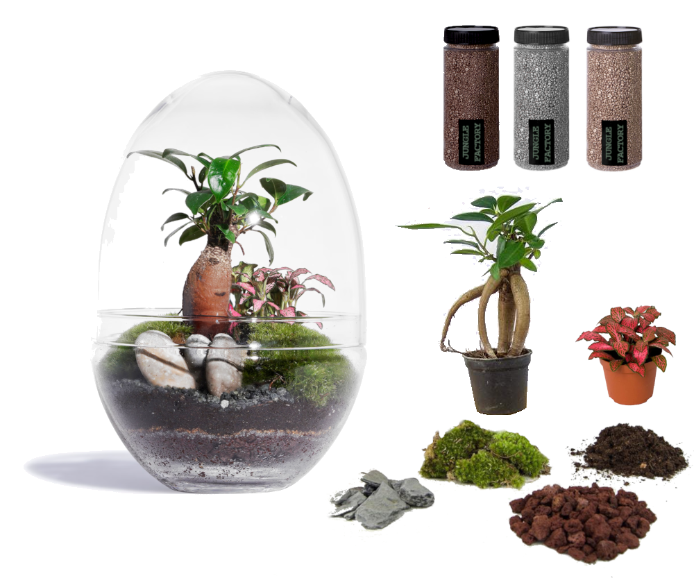 KIT DIY Jungle Egg Large