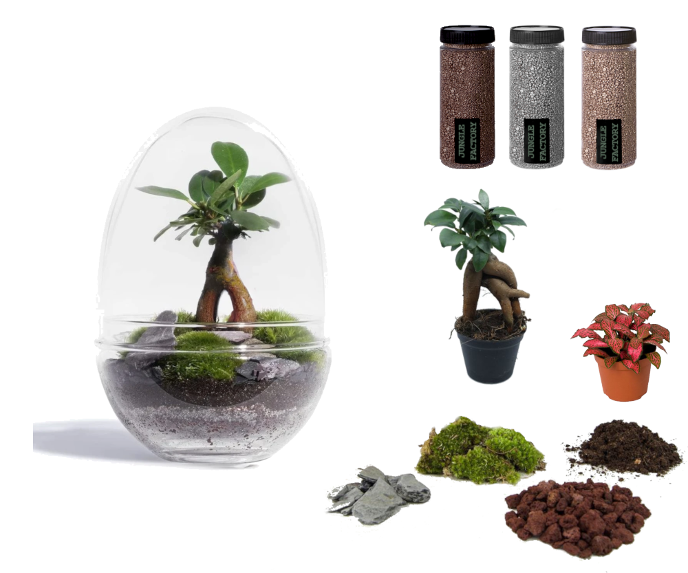 Kit DIY Jungle Egg Medium