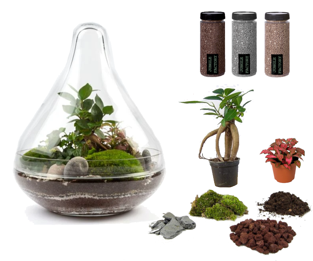 Kit DIY Jungle Drop Medium