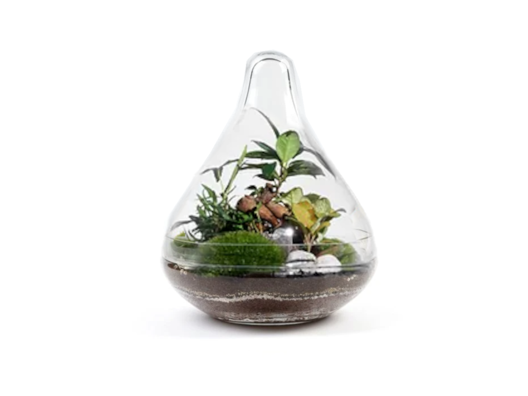 Kit DIY Jungle Drop Small