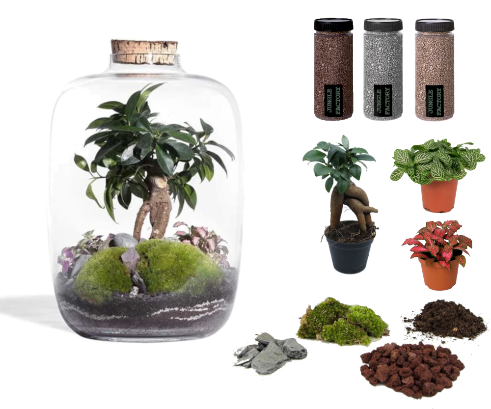 Kit DIY Jungle Cloud Medium
