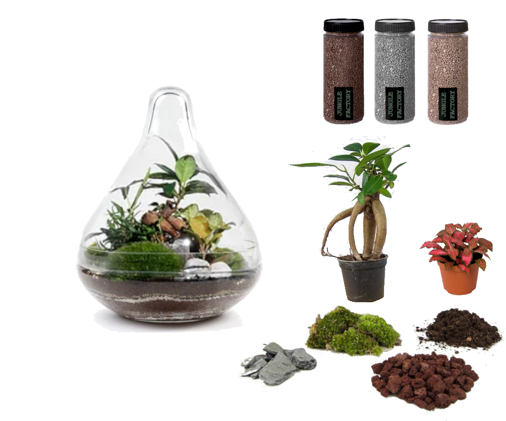 Kit DIY Jungle Drop Small