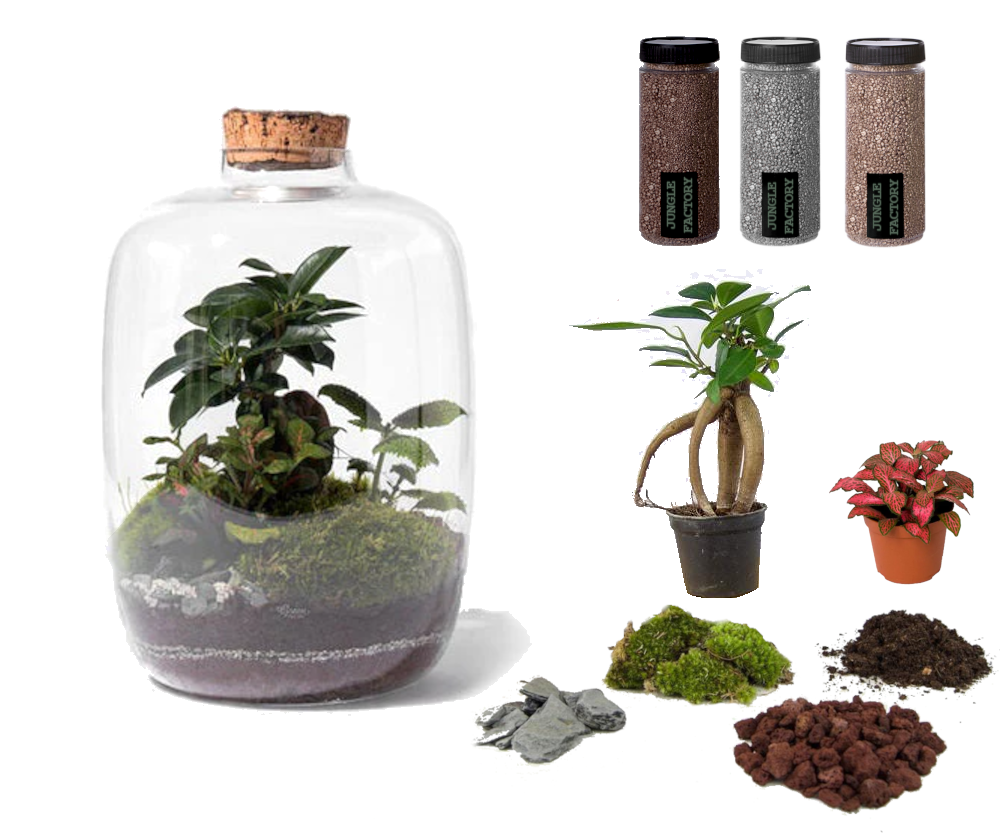 Kit DIY Jungle Cloud Small